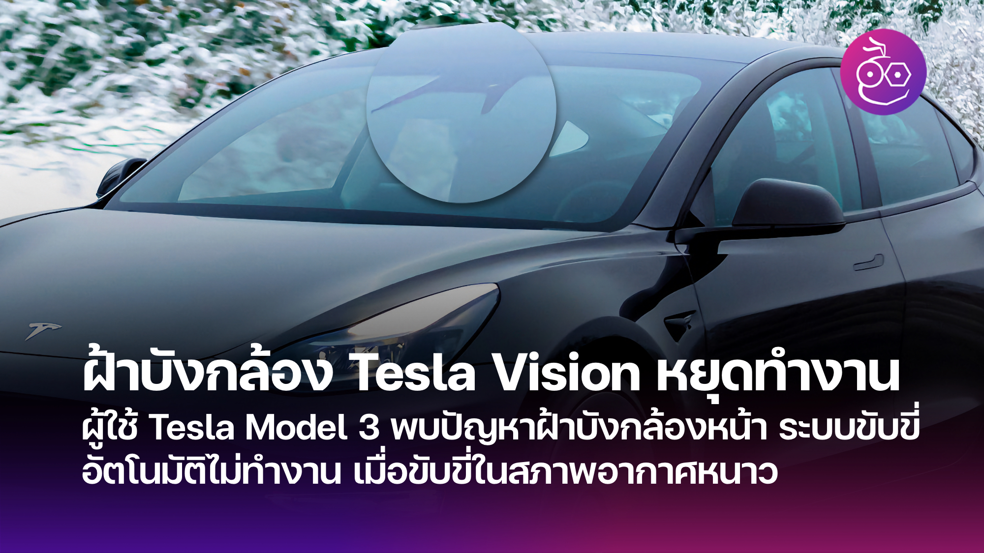 Tesla model store 3 fsd