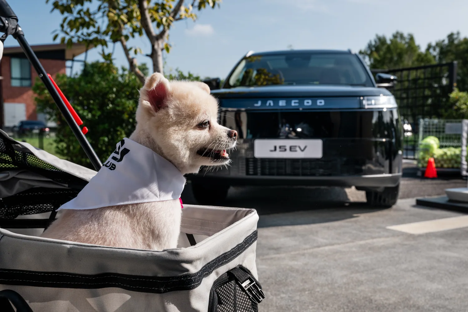 สุนัขในรถเข็นด้านหน้า JAECOO 5 EV